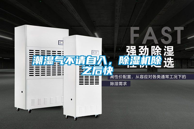 潮濕氣不請自入，除濕機除之后快