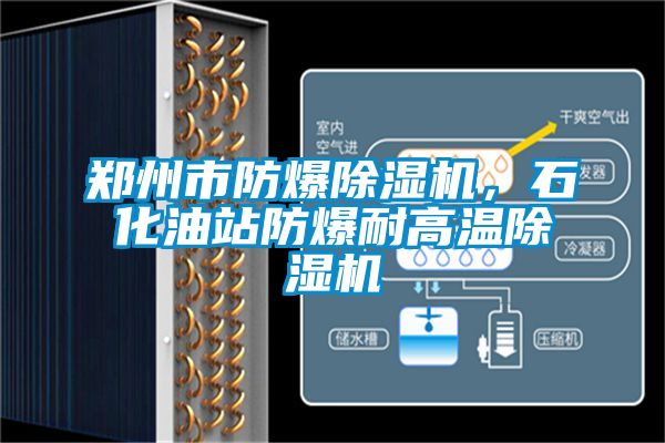 鄭州市防爆除濕機(jī)，石化油站防爆耐高溫除濕機(jī)