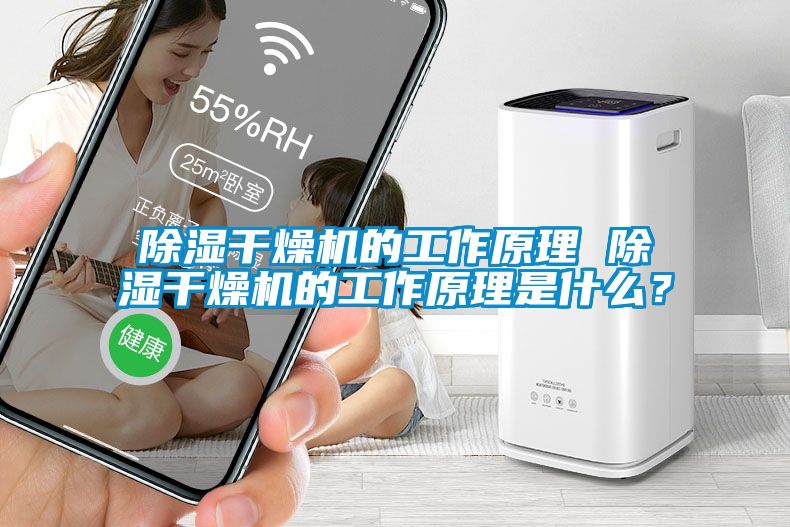 除濕干燥機的工作原理 除濕干燥機的工作原理是什么？