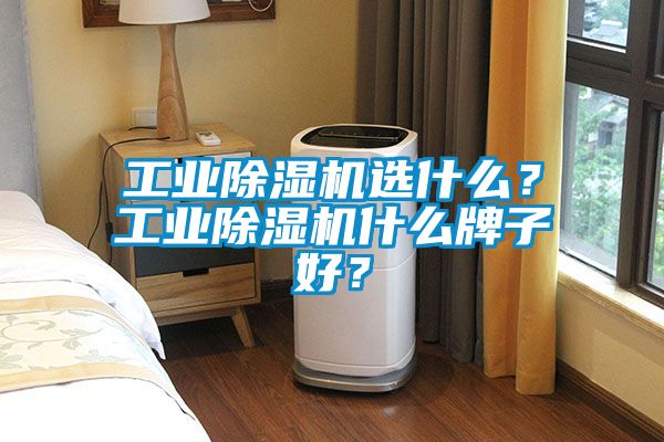工業除濕機選什么？工業除濕機什么牌子好？